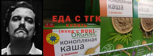 дмт Верея