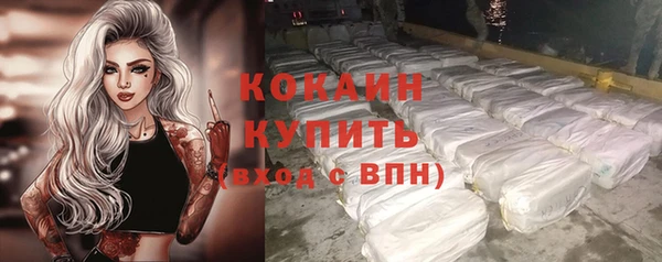 ALPHA PVP Бородино