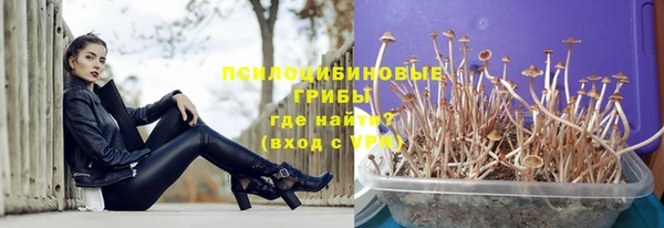 ALPHA PVP Бородино