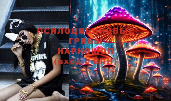 ALPHA PVP Бородино