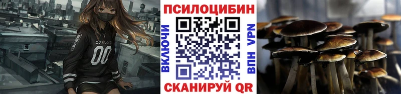Купить где  Киржач  Галлюциногенные грибы мицелий 